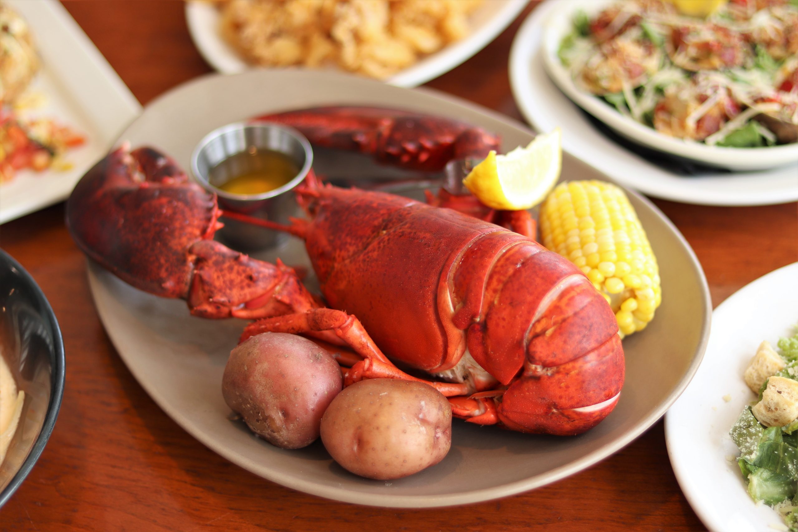 LOBSTER LOVERS CLUB